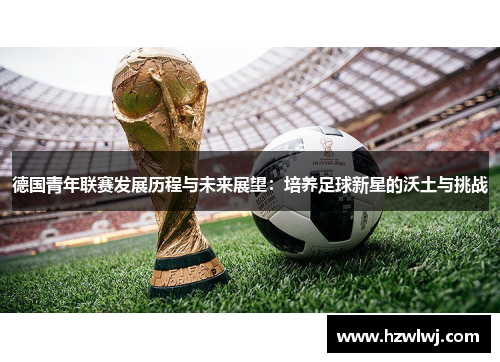 德国青年联赛发展历程与未来展望：培养足球新星的沃土与挑战